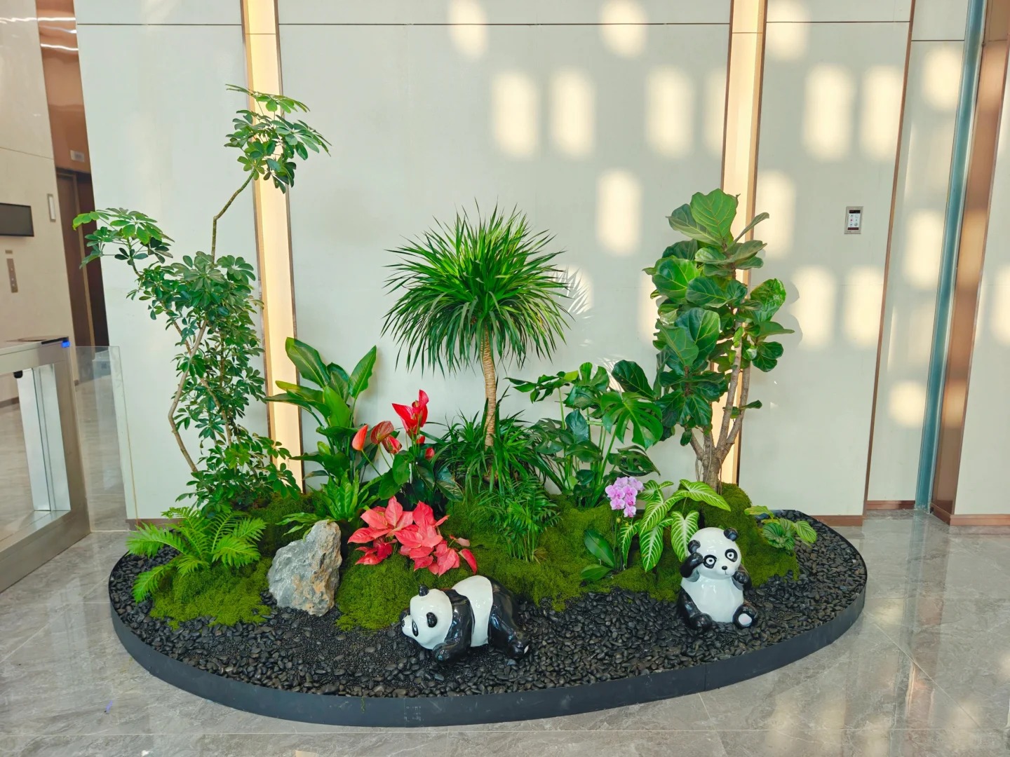 余姚植物出租，优质服务，让你的空间更添绿！